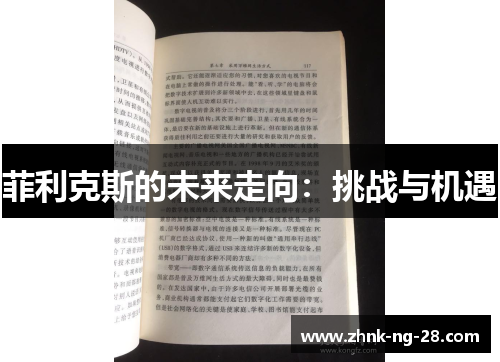 菲利克斯的未来走向:挑战与机遇 菲利克斯的未来走向:挑战与机遇