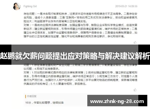 赵鹏就欠薪问题提出应对策略与解决建议解析 赵鹏就欠薪问题提出应对策略与解决建议解析