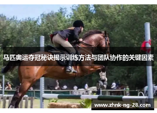 马匹奥运夺冠秘诀揭示训练方法与团队协作的关键因素