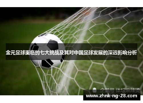 金元足球面临的七大挑战及其对中国足球发展的深远影响分析 金元足球面临的七大挑战及其对中国足球发展的深远影响分析